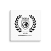 Toda University Canvas